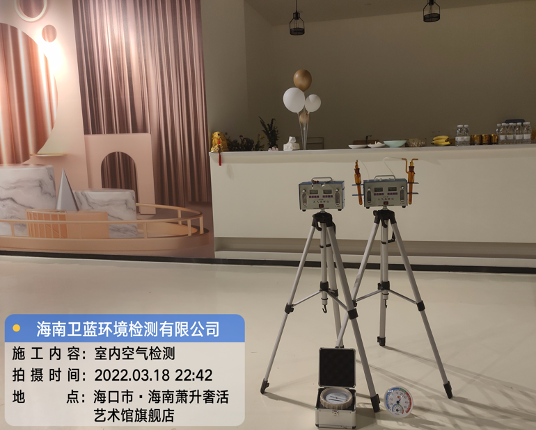 海南CMA甲醛檢測(cè)-?？谑惺捝莼钏囆g(shù)館甲醛檢測(cè)