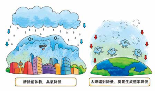 臭氧知識(shí)科普（4） | 環(huán)境空氣臭氧會(huì)通過(guò)哪些方式從空氣中消除呢？降水、植樹(shù)可以嗎？