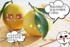 去除甲醛的方法多種多樣，哪種最實(shí)用靠譜